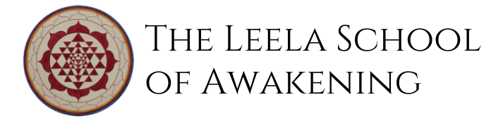 Lisa Metschuleit – Leela School of Awakening – International – Eli ...