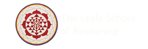 Leela School of Awakening – International – Eli Jaxon-Bear